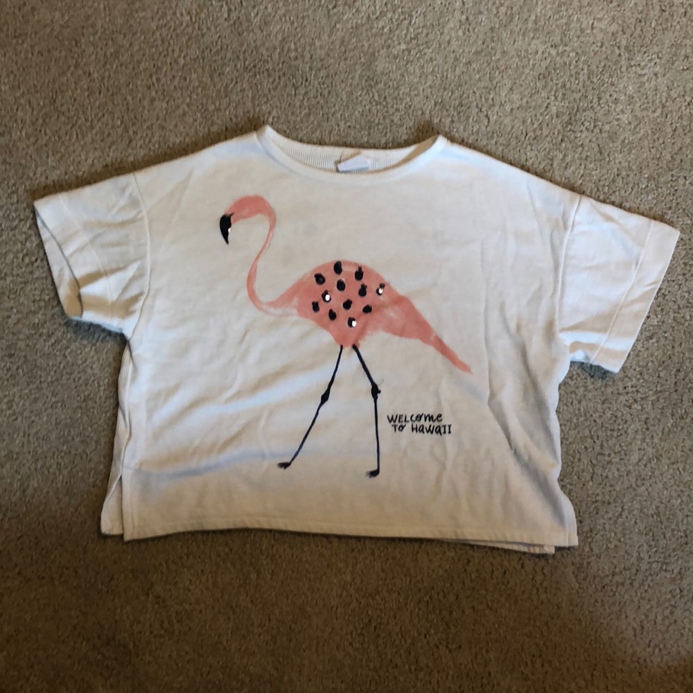 Zara Flamingo Top